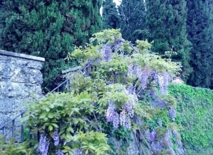 Lusso Con Piscina Tra Milano E